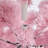 Pre-lit Flocked Artificial Christmas Tree with Foldable Stand-1960872350