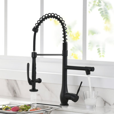 Robinet de cuisine avec douchette extractible noir et nickel, robinet d'évier de cuisine à poignée simple