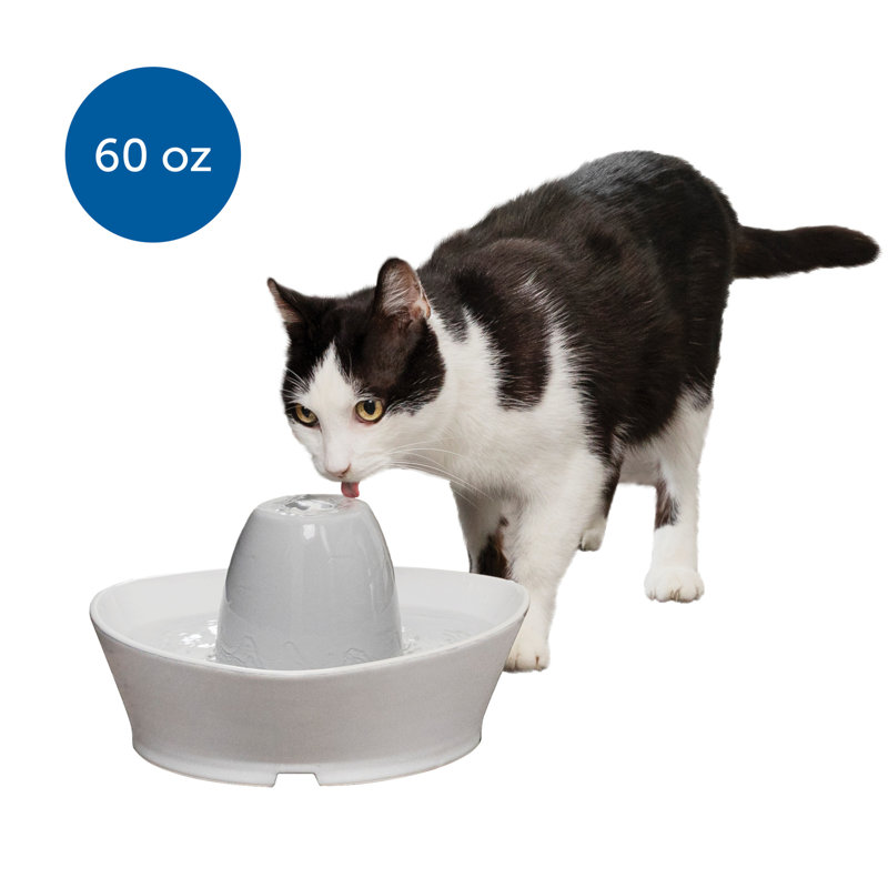 PetSafe Whisper-Quiet Ceramic Pet Water Fountain, 60 Oz