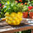 Textured Stoneware Ceramic Planter With Sculpted Bulbous Design And Integrated Drainage Hole For Indoor Outdoor Display-269104231-268494358