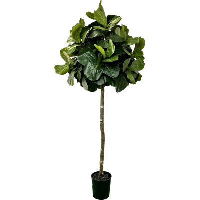 Hand-Made Primrue Modern 6.5'' Artificial Topiary Fig Tree