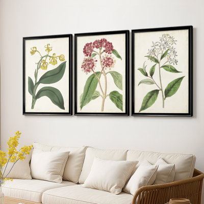 Antique Botanical Collection X - Toile tendue avec châssis sur mesure - 3 pièces