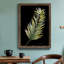 Frond II - reproduction de cadre photo sur papier-727950018-727950023