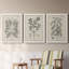 Antique Black and White Botanical VII - Ensemble de 3 reproductions d'art sur toile-282180058-282180051