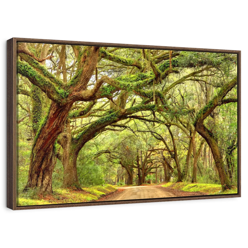 Charleston Oak Forest, Cadre flottant noyer, 43 po x 29 po