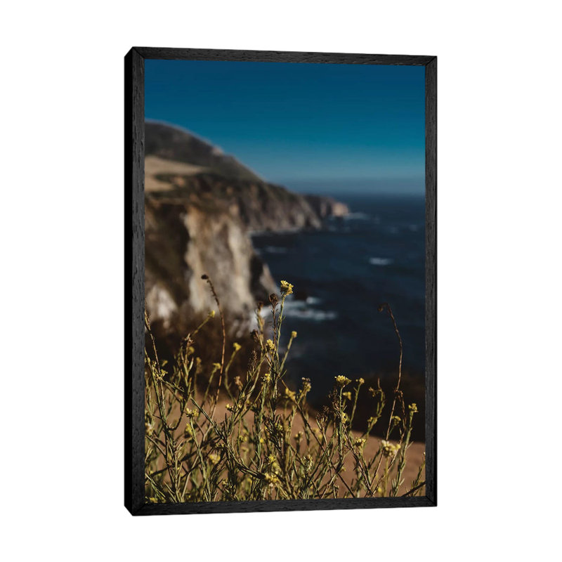 Big Sur Wild Flowers II by Bethany Young - Print on Canvas, Black Framed, 66.04cm H x 45.72cm W x 3.81cm D