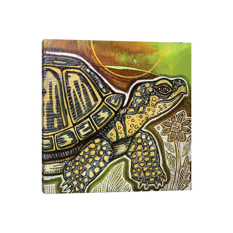 Small Turtle by Lynnette Shelley - Wrapped Canvas Print, 66.04 cm H x 66.04 cm W x 3.175 cm D