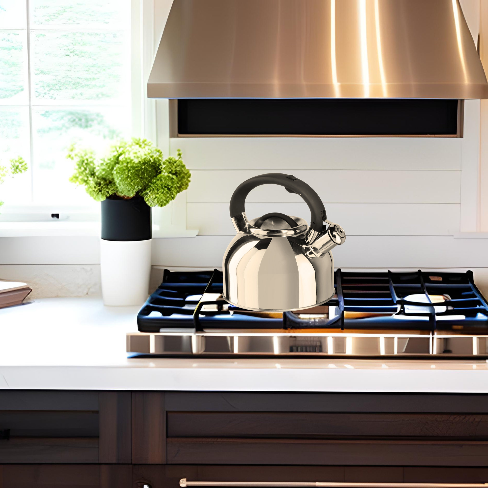 TopRated Tea Kettles 2024 Wayfair