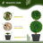 Zeigler 23.6'' H Artificial Boxwood Topiary Tree