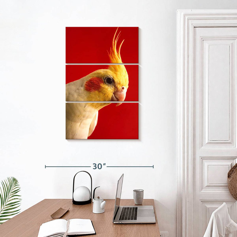Cockatiel Brampt Lutino, H 32 po x l 20 po