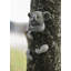 Harkless Koala Resin Garden Statue