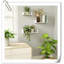 Chakera 3 Piece Wood Floating Shelf-1441402827
