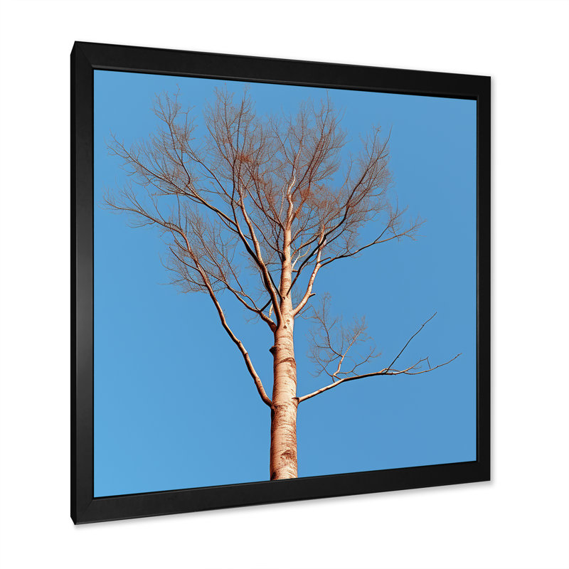 «Blue Timbers Trace Photo», art mural sur toile d'arbre, salon, Cadre simple noir, H 24 po x l 24 po x P 1 po