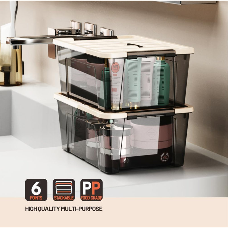 Rebrilliant Plastic Storage Tub & Tote
