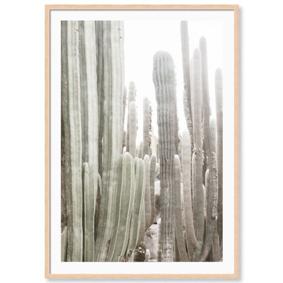 California Cactus Print by Carly Tabak