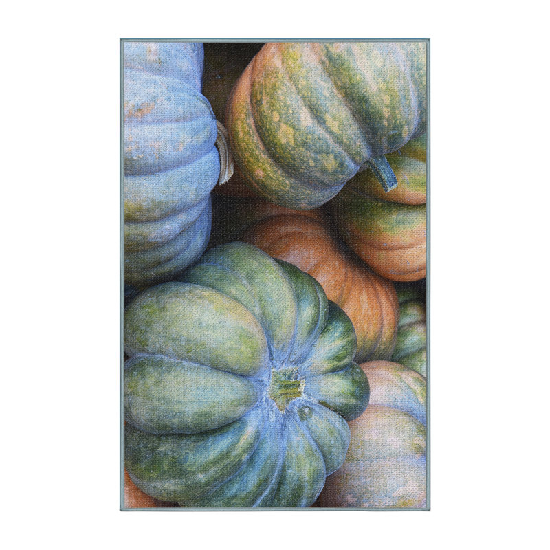 Performance Cotton Indoor Rug, Rectangle 2' x 5'