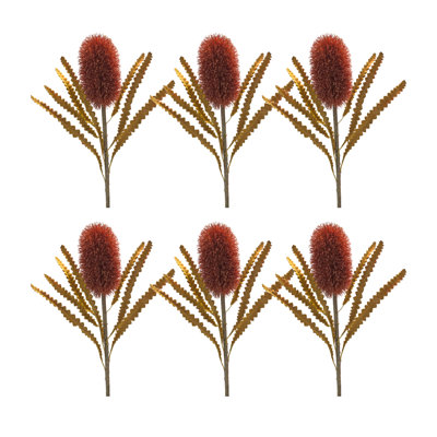 Banksia vapeur