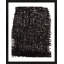 Dense Forest Print by Stephanie Dennis-771295940-771295943