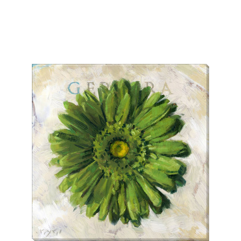 Art sur toile Verde Gerbera, l 20 po x L 20 po