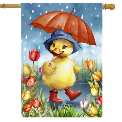 Drapeau Rainy Day Duckling House