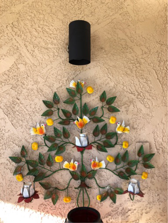 Customer review by Liz