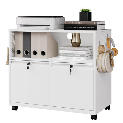 Mobile 2 Drawer File Cabinet with Lock by Latitude Run