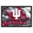 Indiana Hoosiers