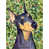Doberman