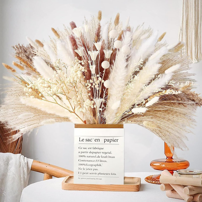 Wym 17cm Pampas Grass Grass