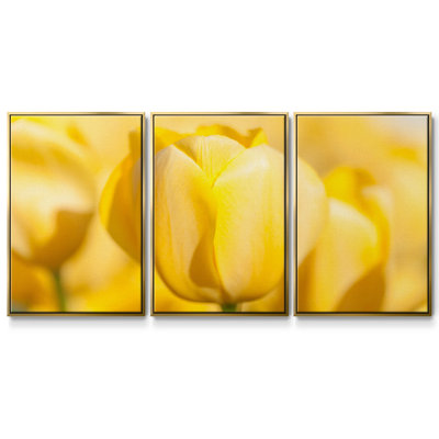 Sunshine Yellow II, reproduction sur toile 3 pièces