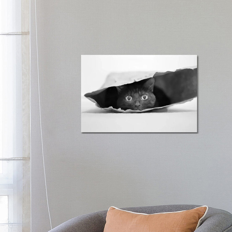Cat In A Bag by Jeremy Holthuysen - Wrapped Canvas Print, 66.04 cm H x 45.72 cm W x 1.91 cm D