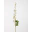 Fiori Delphinium Arrangement