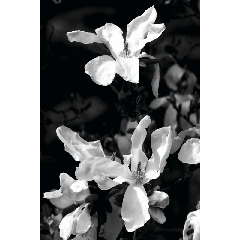 Portrait floral VI, H 12 po x l 8 po