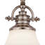 Luminaire suspendu en dome à 1 lumière