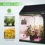 Tente pour plantes d’intérieur en cube toit-53163679