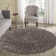 Esterly Shaggy Taupe Rug