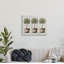Arbres fruitiers Home Sweet Home - impression-60054816-60054823