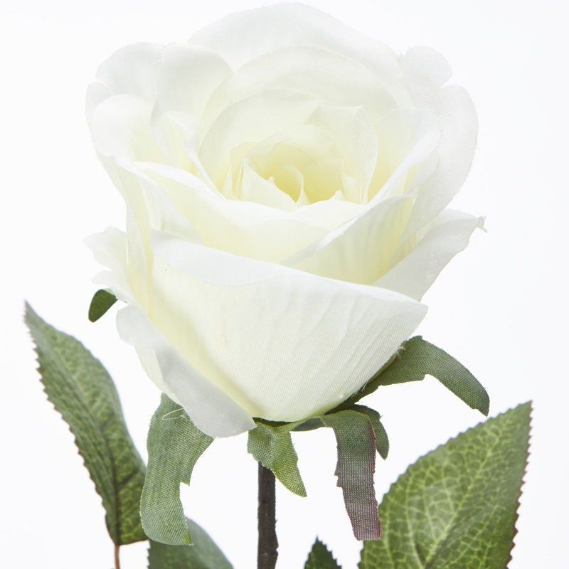 Jet de rose de luxe artificiel, Crème