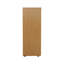 Buariki 2 -Door Storage Cabinet-16413411