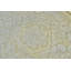 Decorative Tray