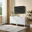 2 Door Storage Cabinet-602926782
