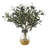 18'' Faux Olive Tree Branch in Glass Decorative Vase