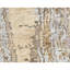 Hand Knotted Area Rug in Beige/Gold-213508673
