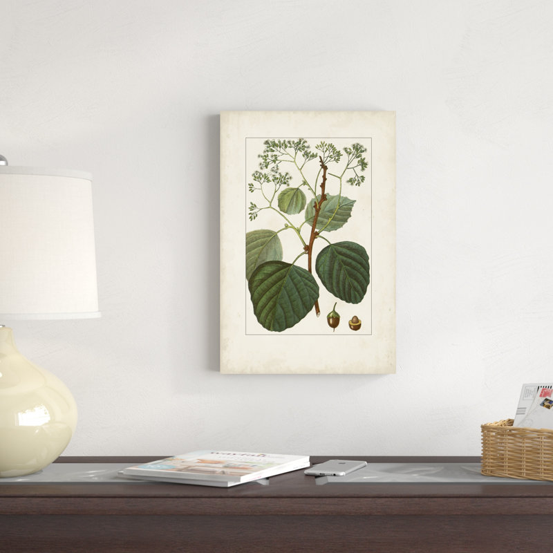 Antique Turpin Botanical IV, H 18 po x l 12 po