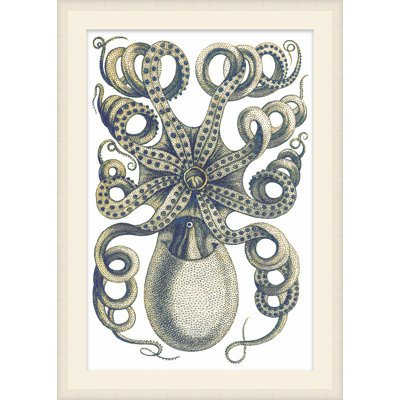 Quiet Kraken 2 Framed Print