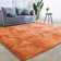 Standard Shag Area Rug