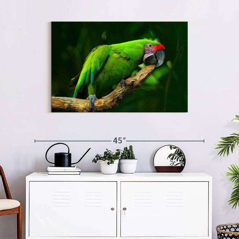 Military Macaw, 24" H x 36" W