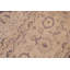 Tapis oriental mauve / beige en laine noué à la main 9 pi 11 po x 14 pi 2 po Oriental