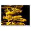 Black Gold Print-49240049-49240051