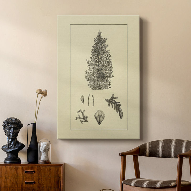 Arbor Study I - Gallery Cavas, H 27 po x l 18 po